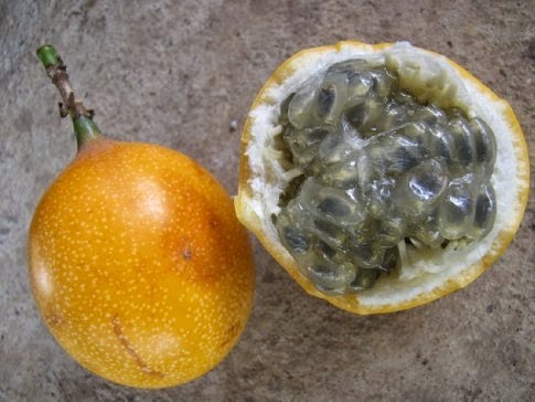 Granadilla