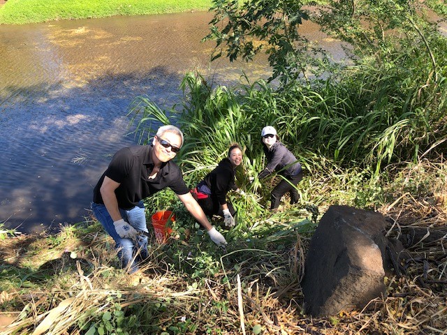 Bank Clean-Up 2.jpg