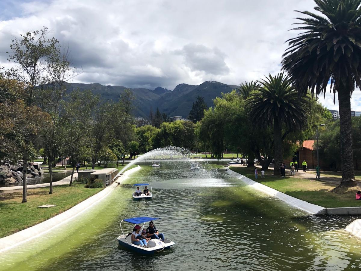 Paddle Boats in Parque de la Carolina