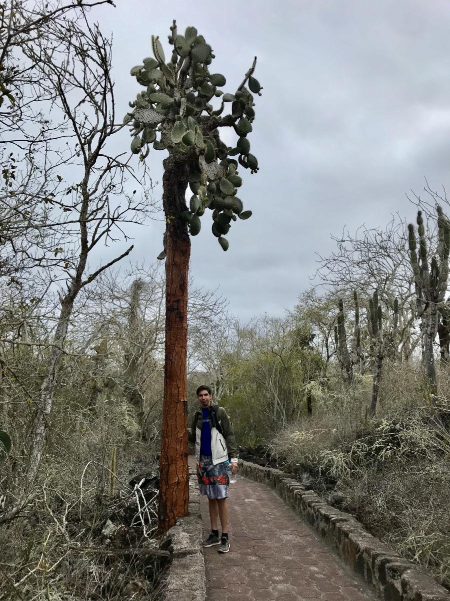 Exploring the Galapagos