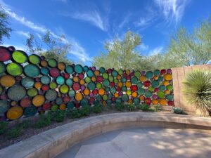 Desert Botanical Garden in Arizona