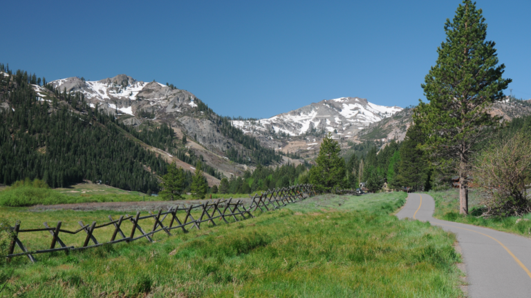 First us city to host the olympics