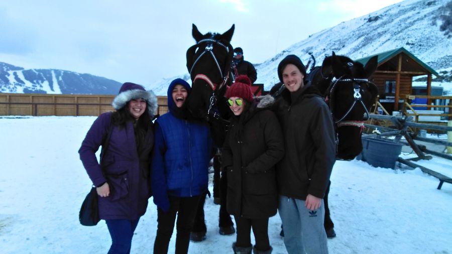 Cultural Activity Ideas for Winter