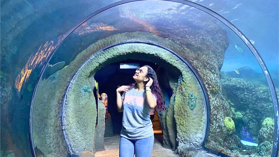 Cultural Activities for March